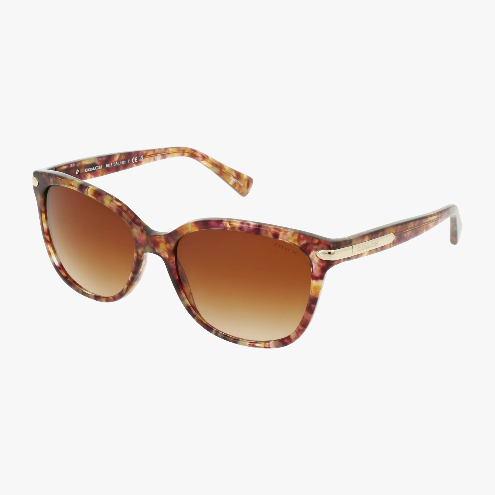 Coach HC8132